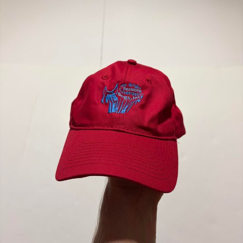 Therapy Men's Red and Burgundy Hat